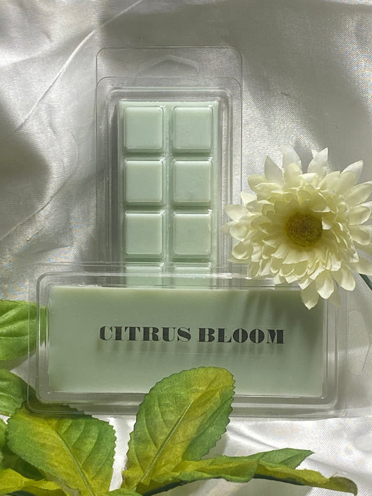 Citrus Bloom